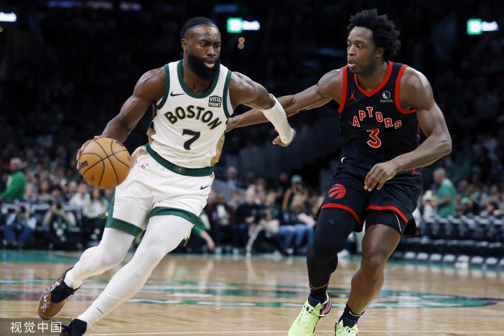 的视角来审 的视角来审